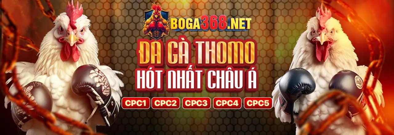 Đá gà trực tuyến betvnd88 live